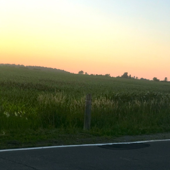 Meet your Posher, Nancy W - Picture 1 of 1